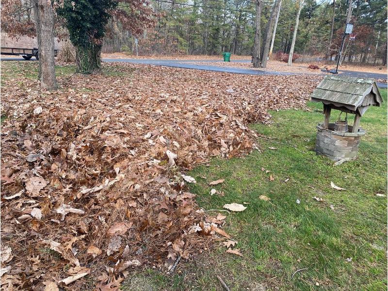 Seasonal Clean Ups by AJV Landscape & Design