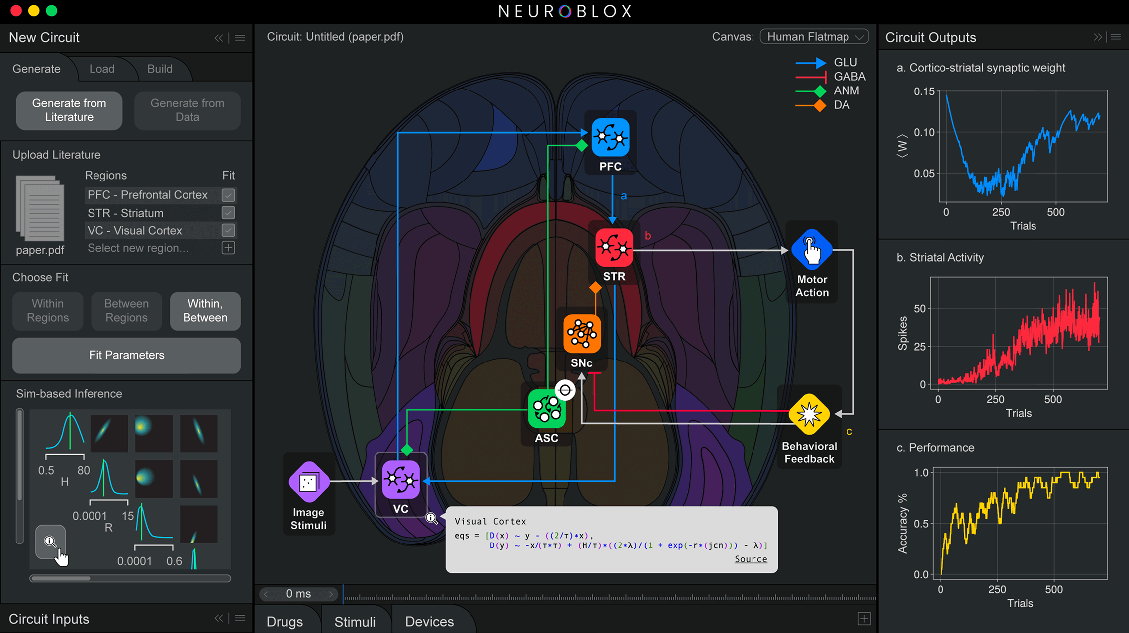 Neuroblox Software interface