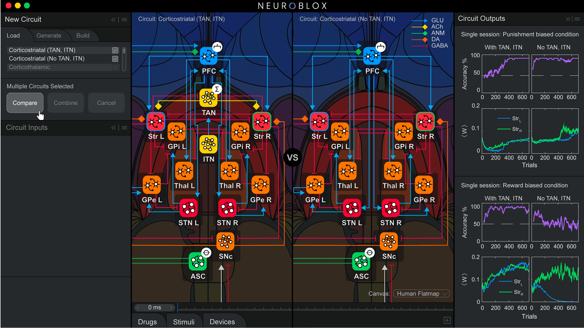 Neuroblox Software interface