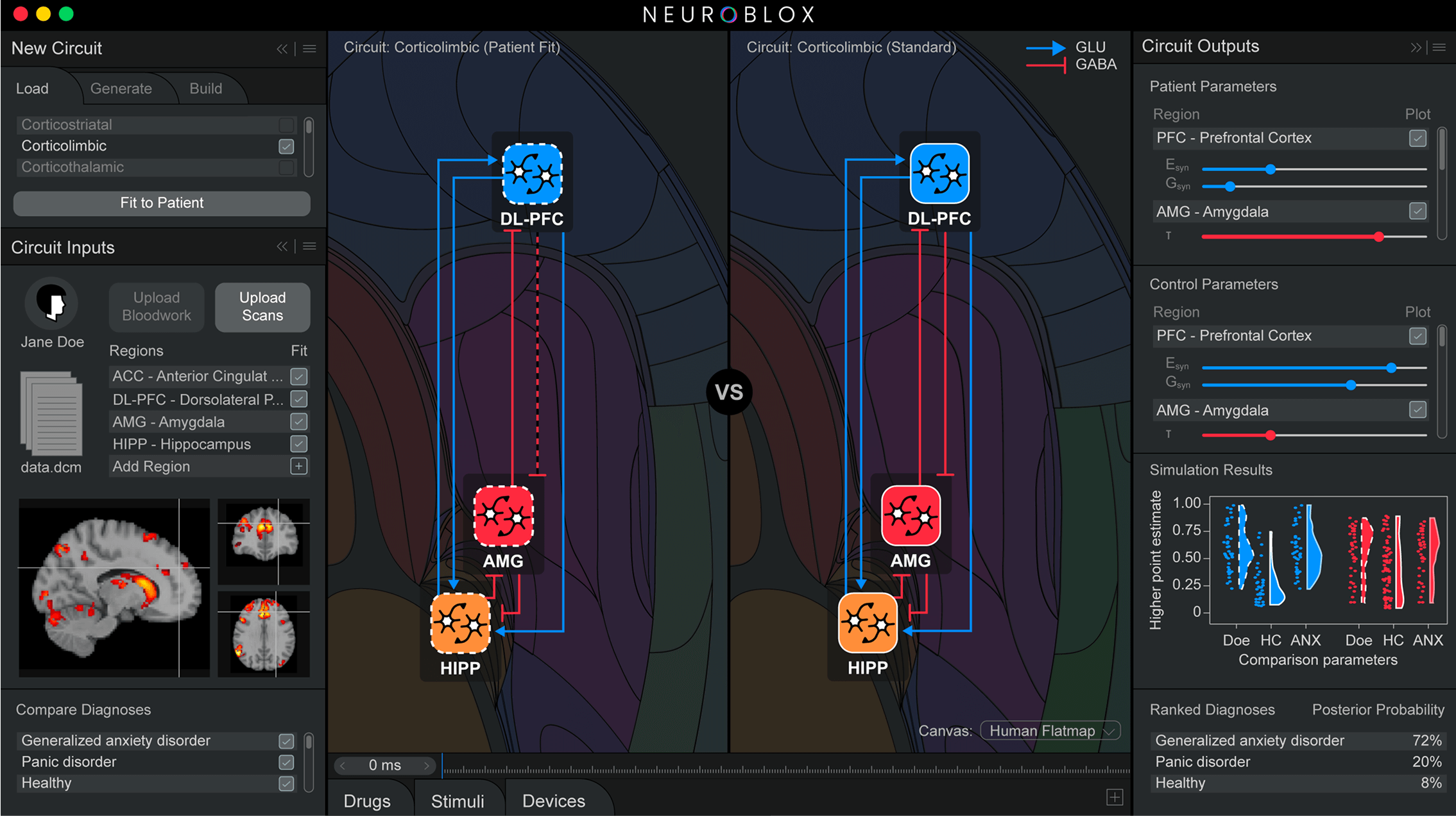 Neuroblox Software interface