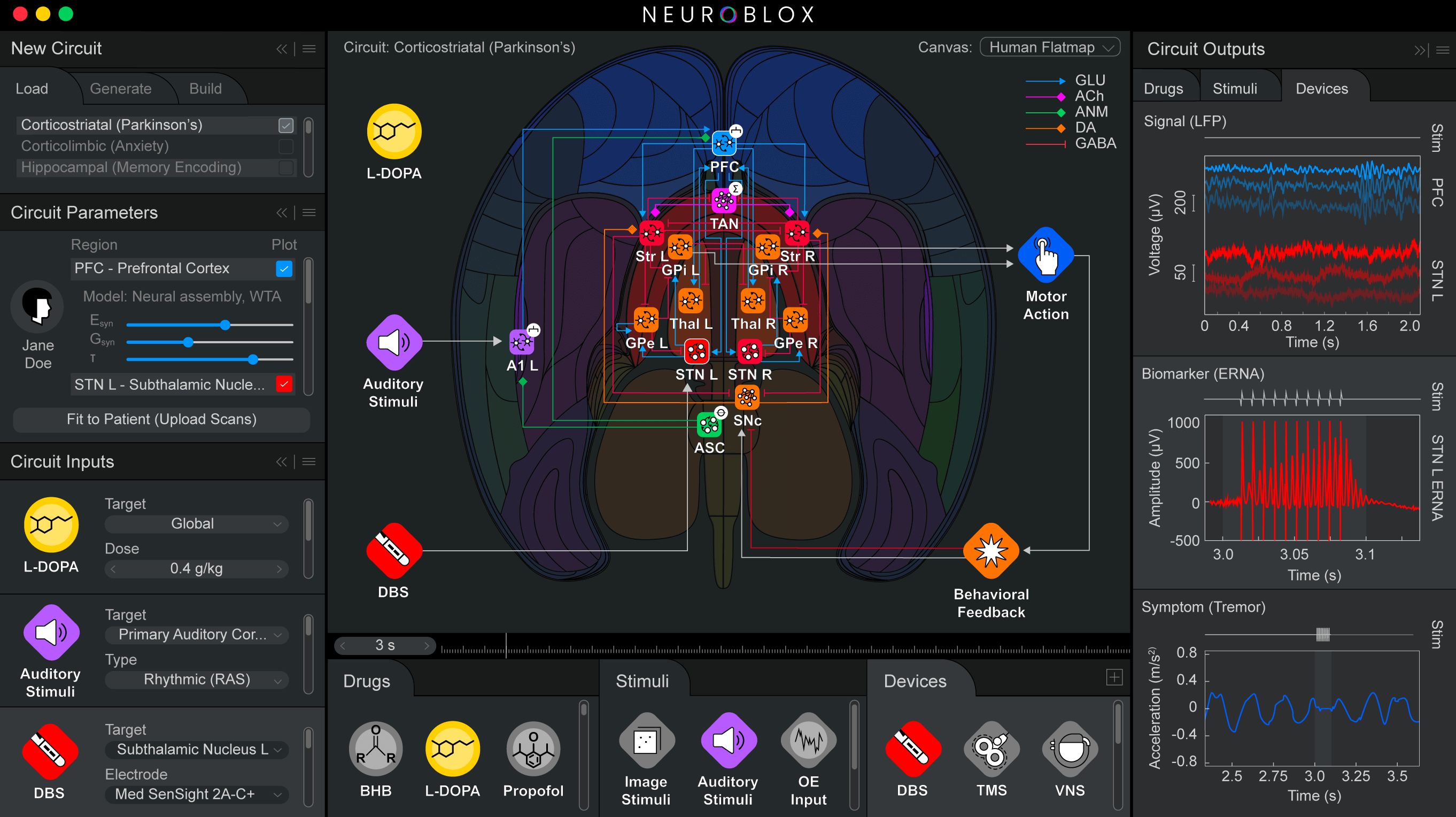 Neuroblox Software interface