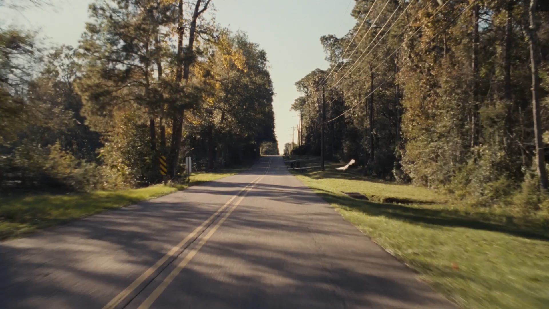 A long two-lane country road lined with trees on both sides under clear daylight, with sunlight filtering through the leaves.