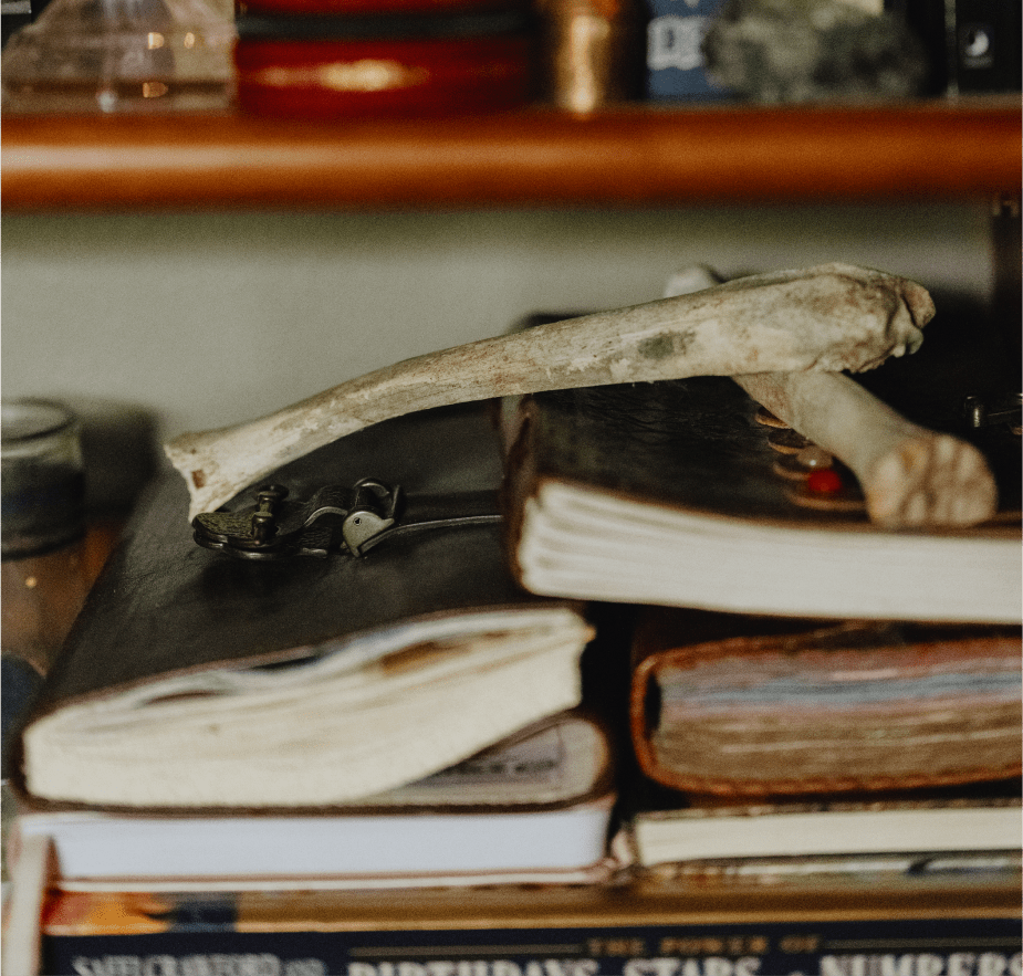 A shelf cluttered with old books and objects, including a weathered bone resting on top of a leather-bound journal.