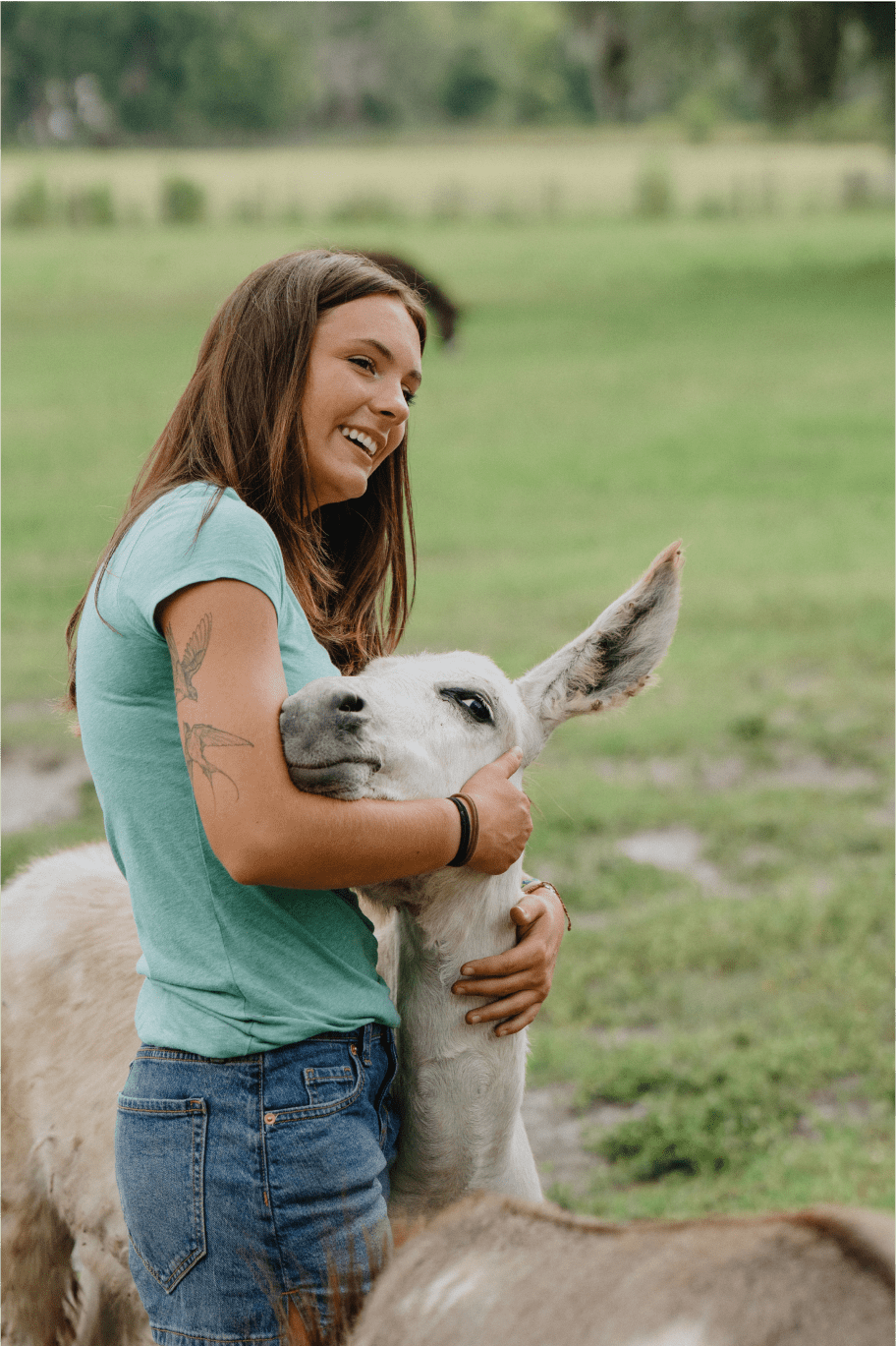 A smiling woman in a turquoise shirt and denim shorts hugs a white donkey in a grassy field, with other animals nearby.