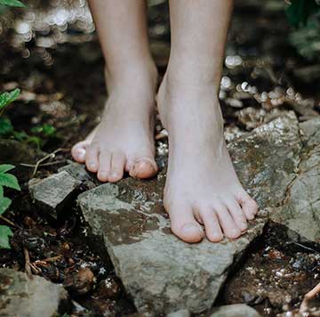 Quick & Delicious — Supports Your Gut Biome