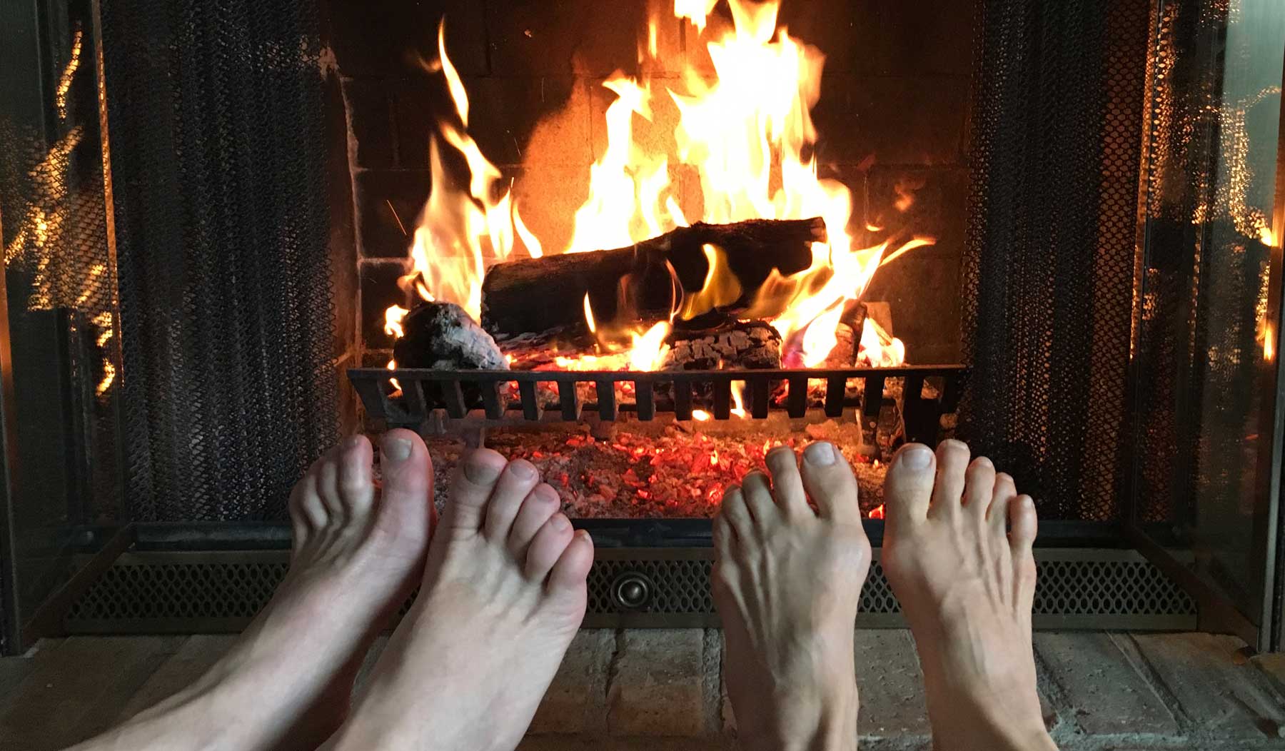 The Power of Earth: Grounding, Nourishing, Transforming