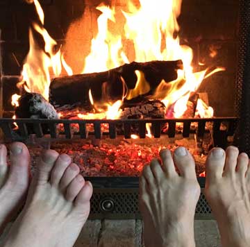 Quick & Delicious — Supports Your Gut Biome