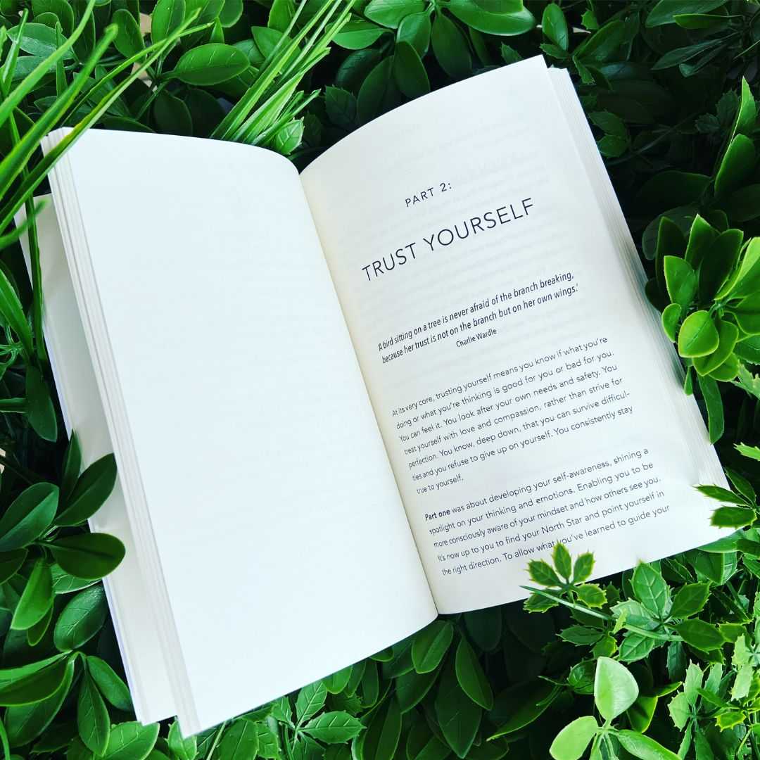 Book image of "Believe" by Brenda James