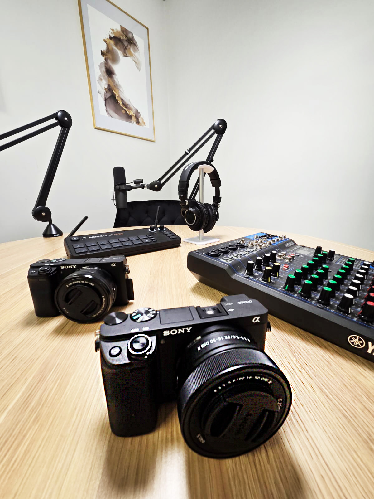 image of location (for an animal welfare nonprofit)