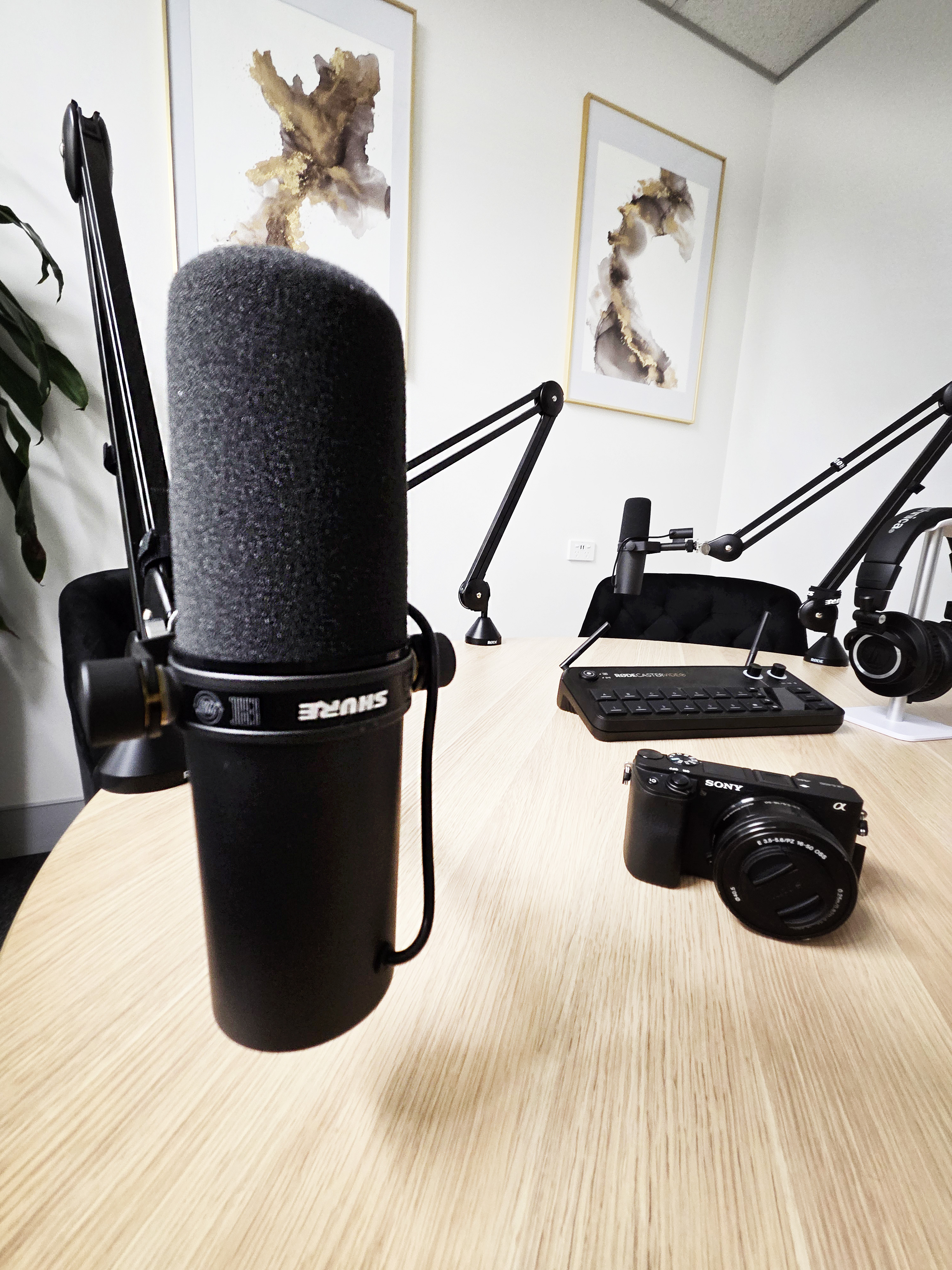 image of food truck event