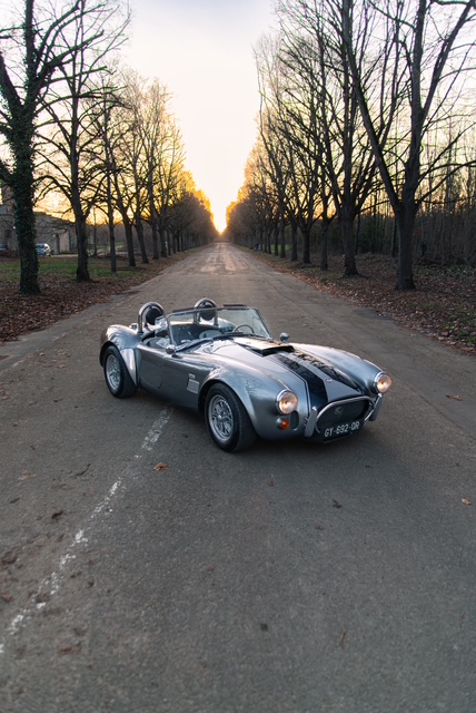 AC Cobra 427 replica Gardner Douglas