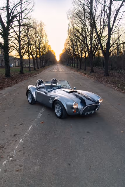 AC Cobra 427 replica Gardner Douglas