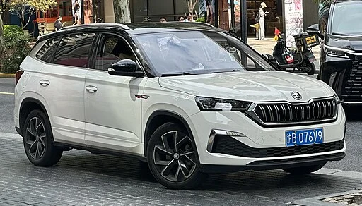 Skoda Kamiq verkopen aan AutoInkoopSpecialist.nl
