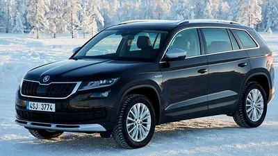 Grijze Skoda Kodiaq zijaanzicht klaar voor verkoop via AutoInkoopSpecialist.nl