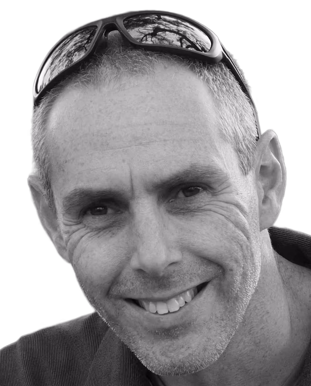 תמונה של עמית פרי