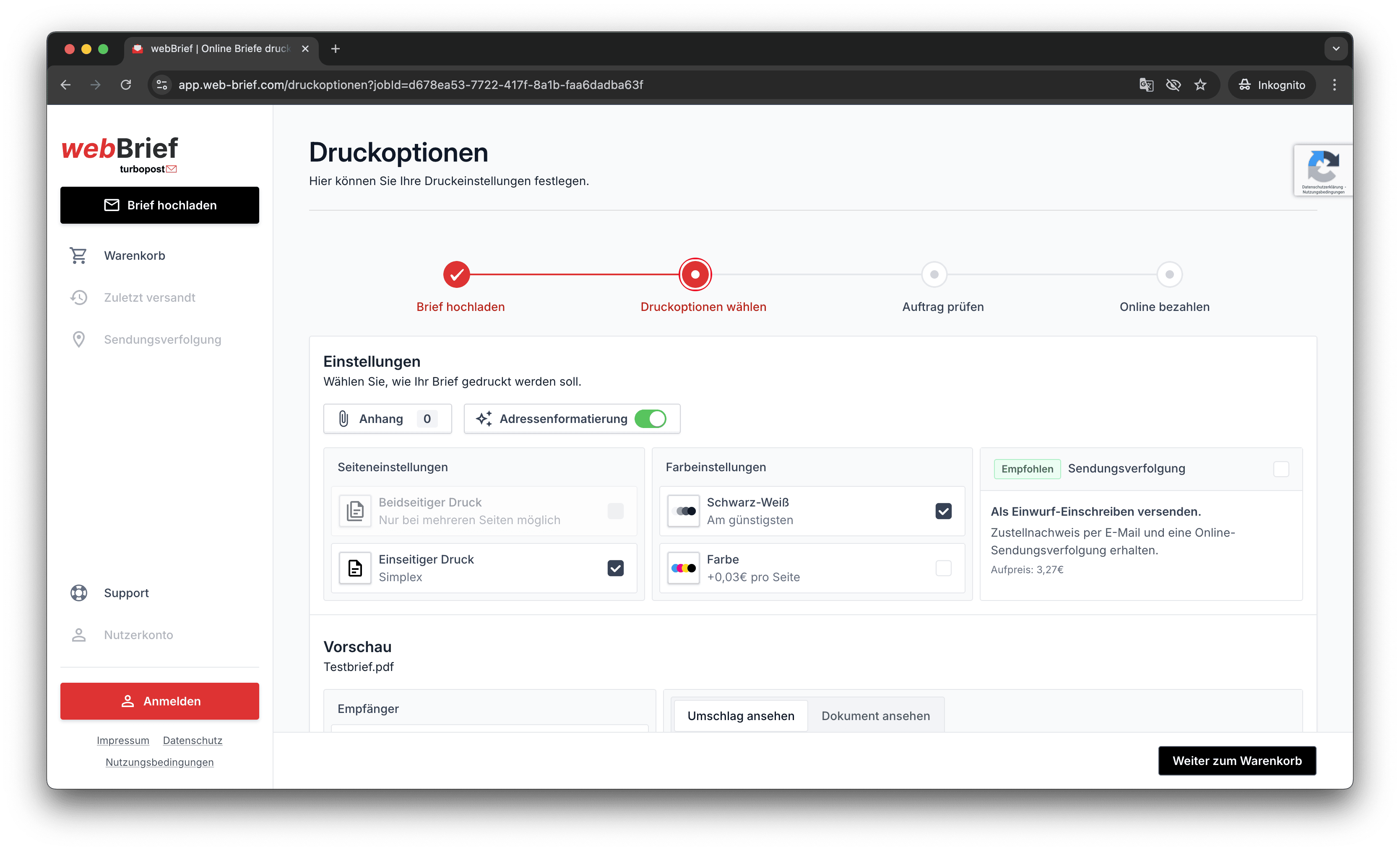 Screenshot der Web Anwendung mit den Druckoptionen