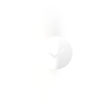 Check Icon