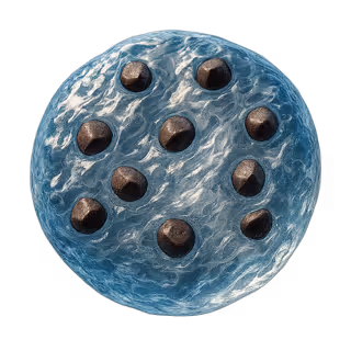 A cookie made of water