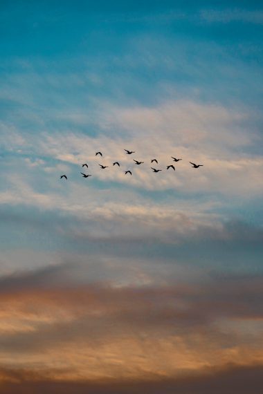 Using Twitter to Expand Your Business