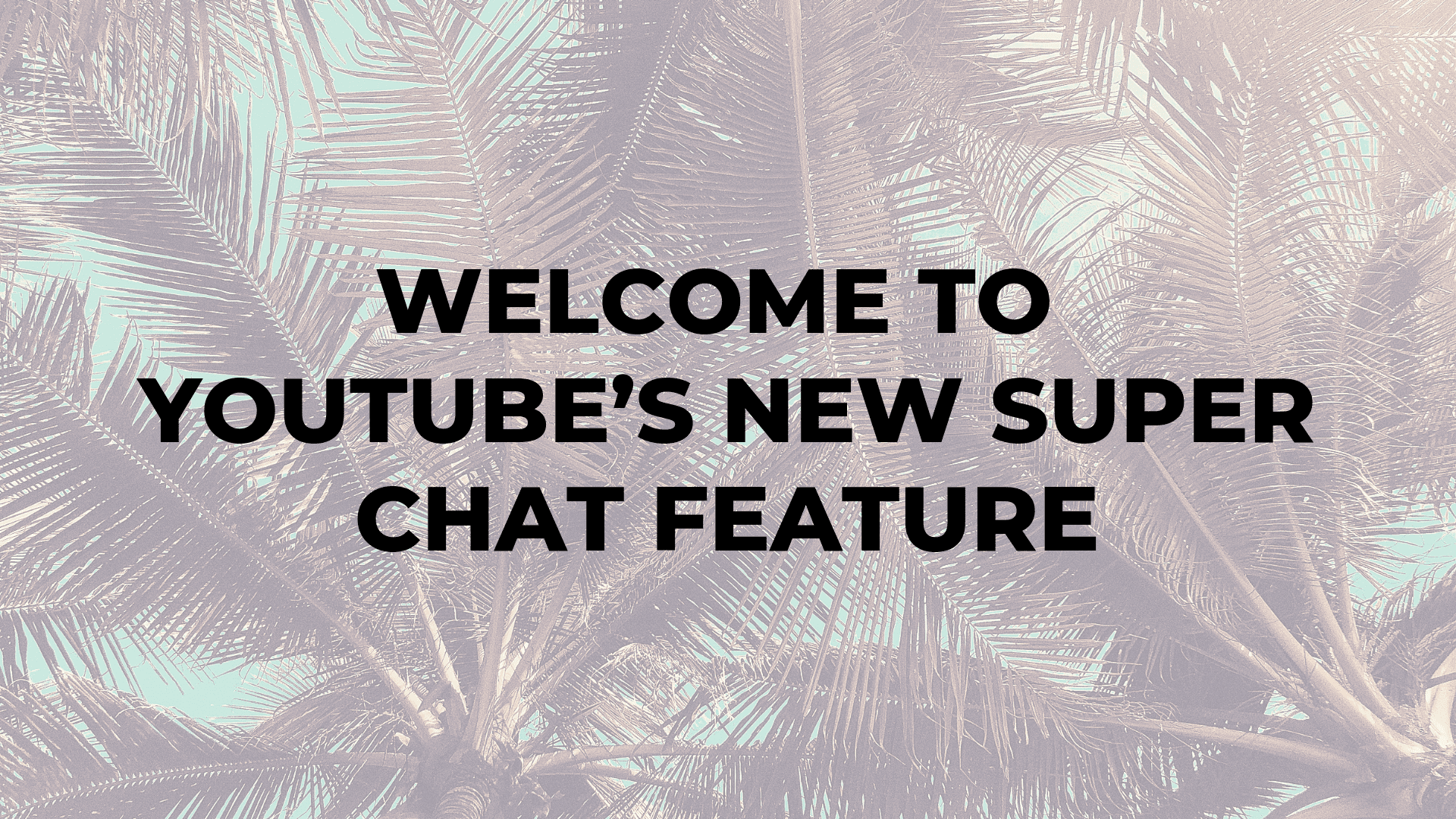 How to Become a Social Media Influencer in 2019