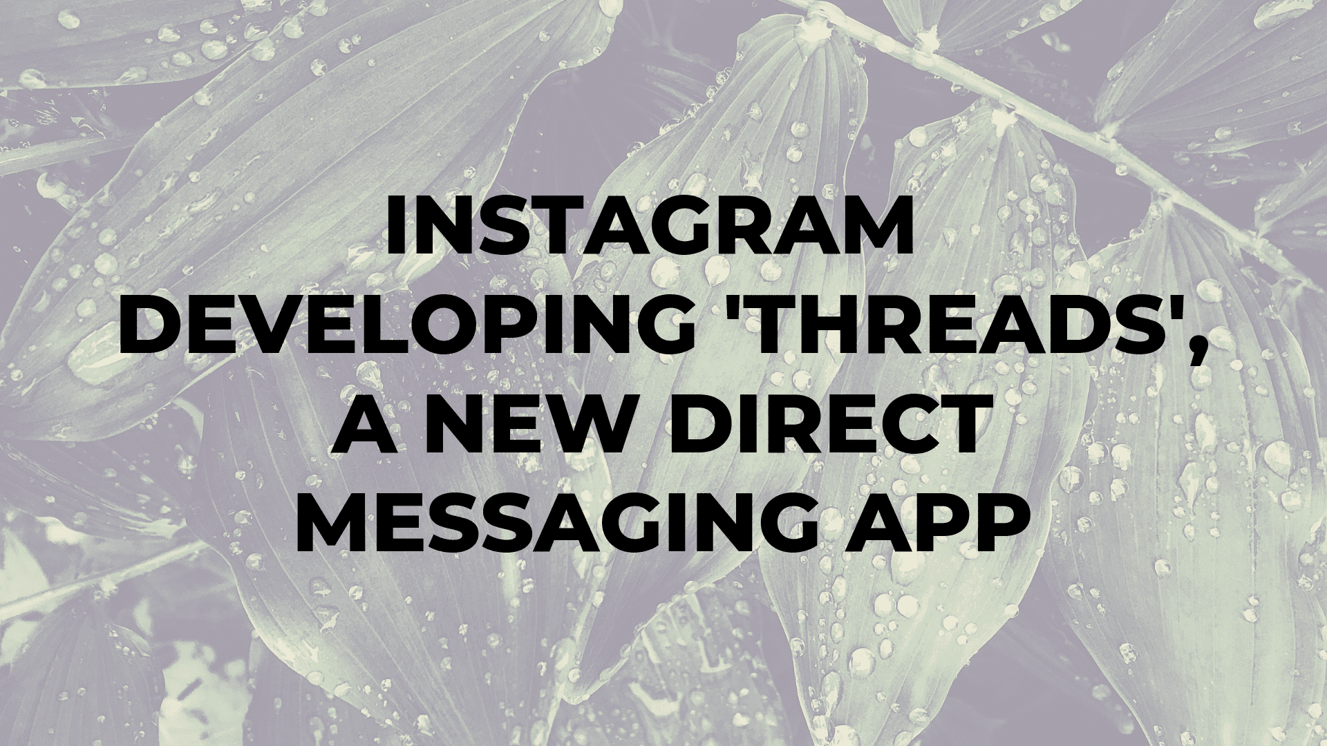 Instagram Developing 'Threads', a New Direct Messaging App