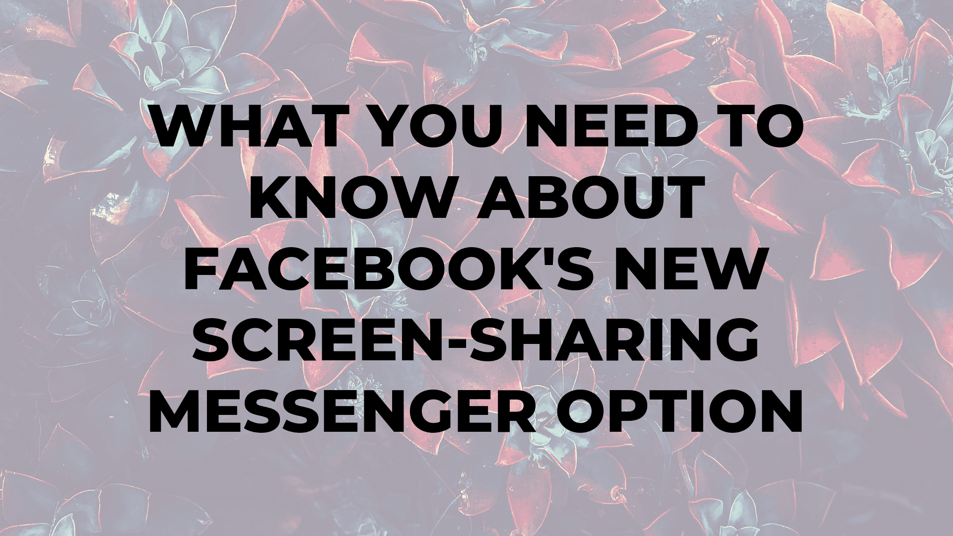 What You Need to Know About Facebook's New Screen-Sharing Messenger Option