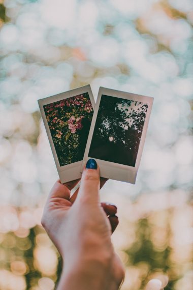 Best Photo Galleries and Plugins for Visual Blogging