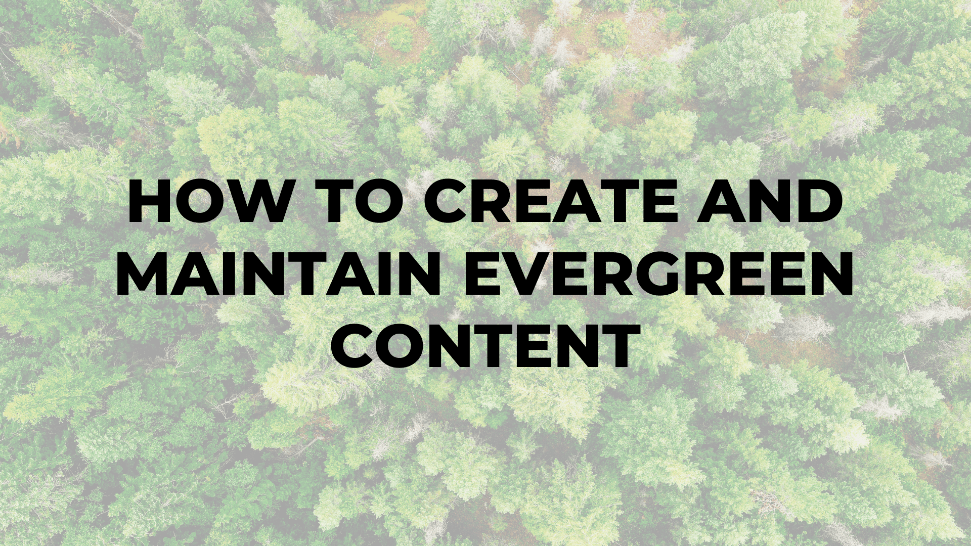 How to Create and Maintain Evergreen Content