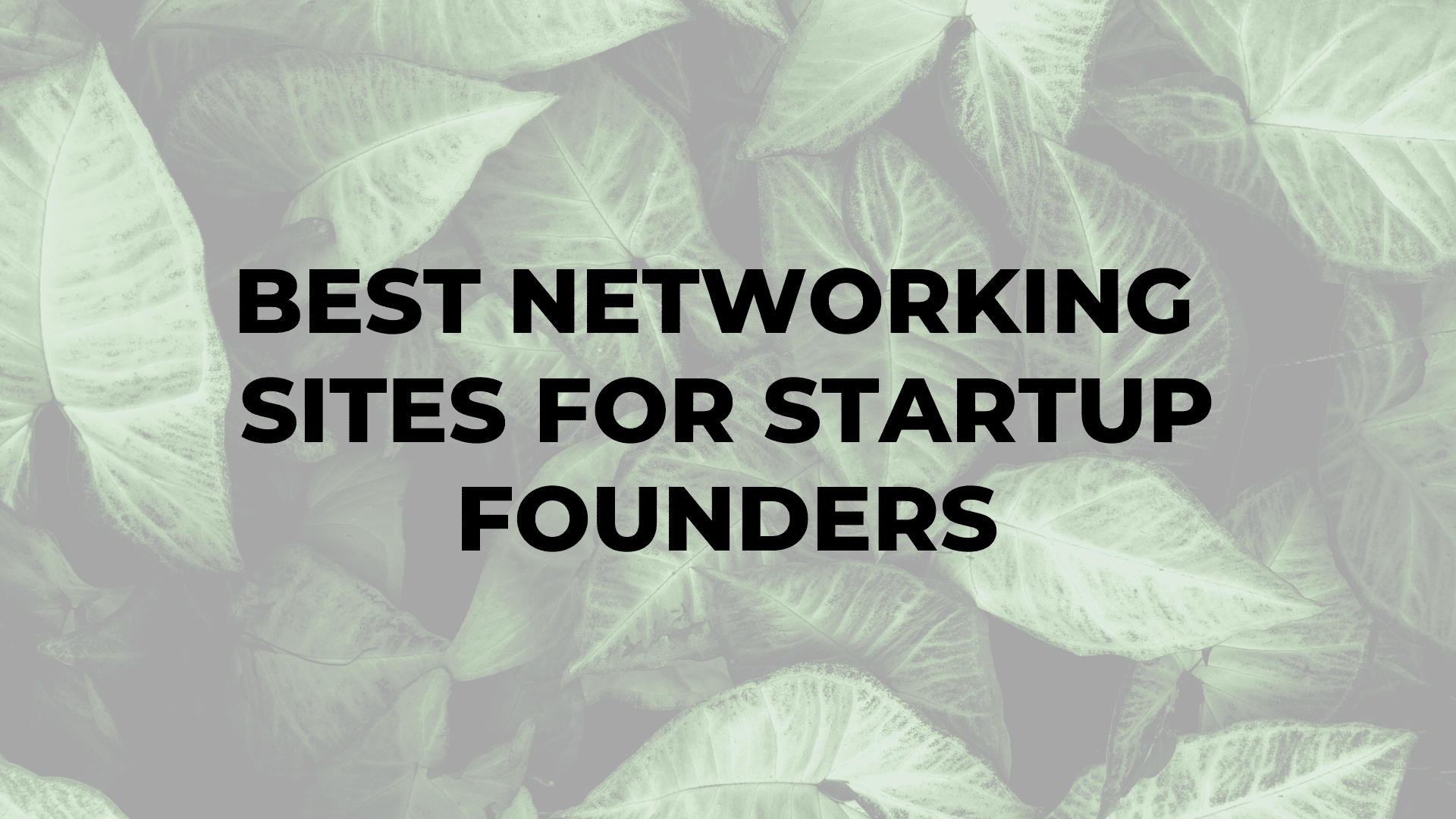 Best Networking Sites for Startup Founders