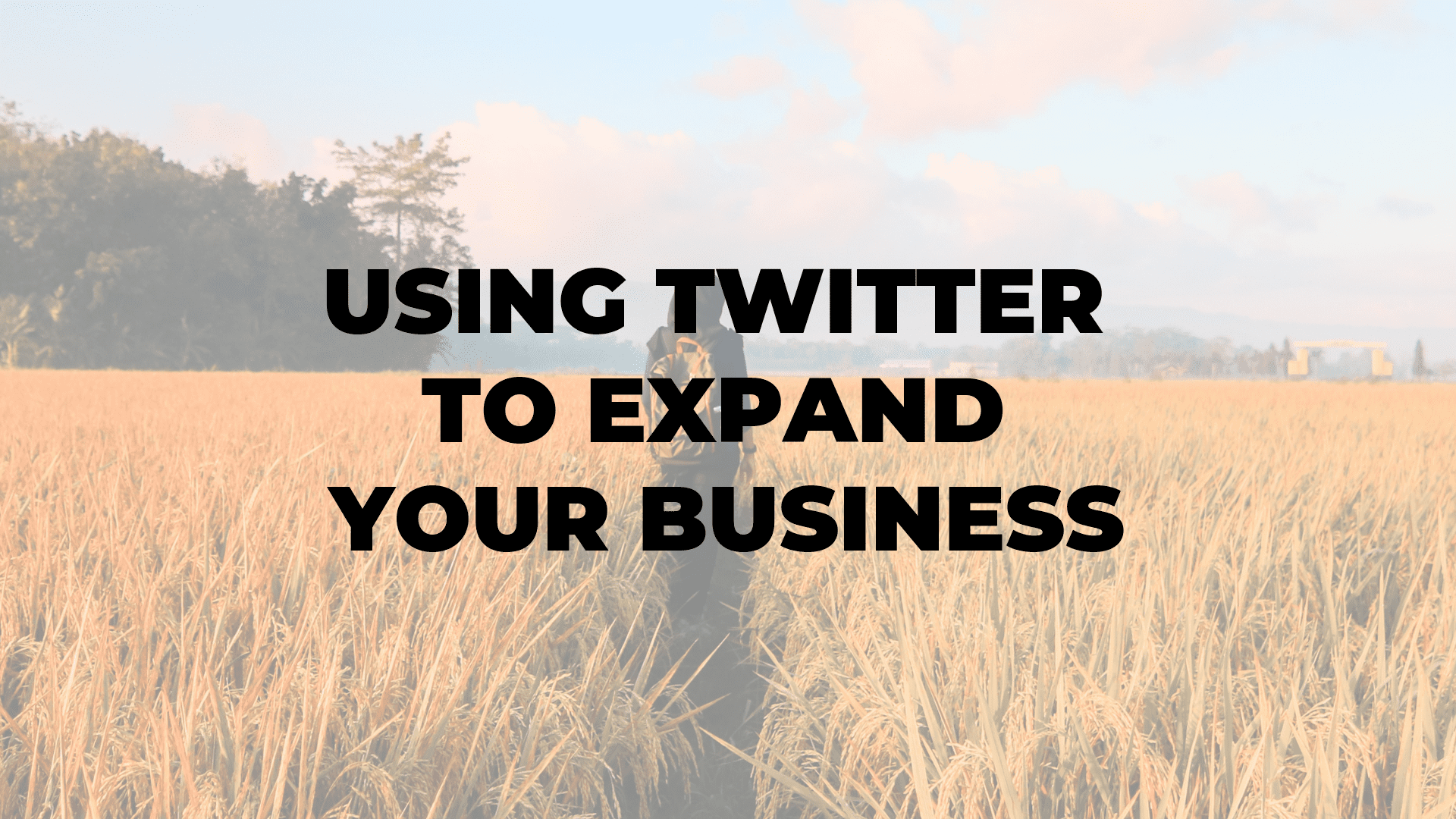 Using Twitter to Expand Your Business