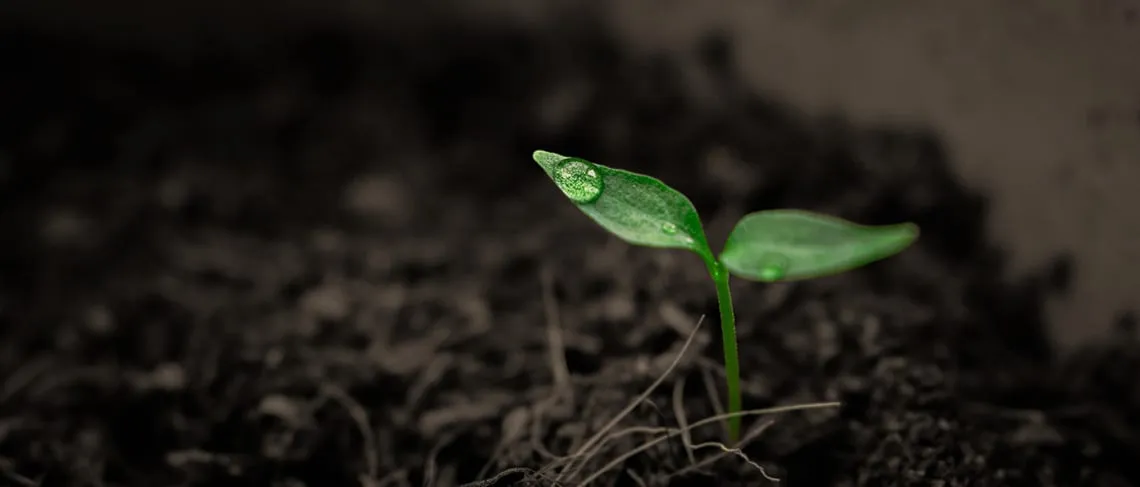 3 Ways to Build Hope into Your Team