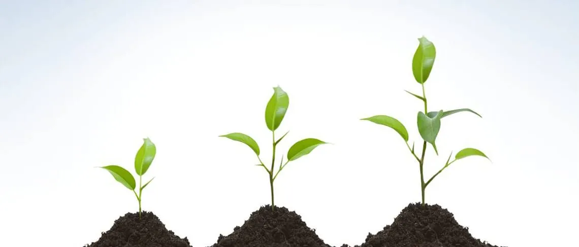 The Three Types of Mentors Every Person Needs to Help Them Grow