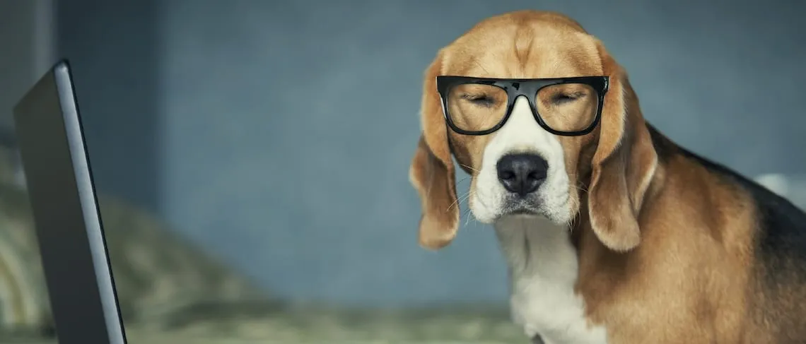 4 Ways That Vision Gets Lost (and How To Get It Back)