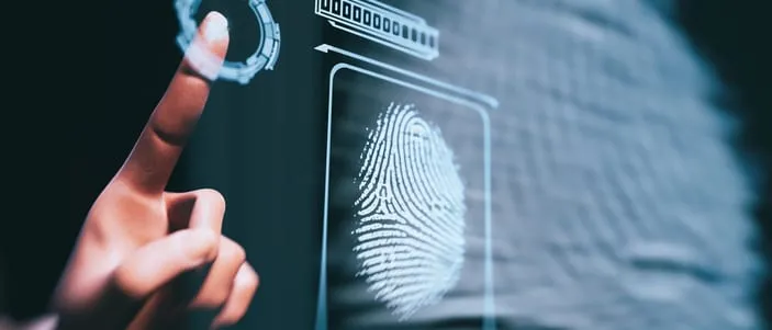 Fingerprints: 5 Steps to Creating Collective Vision