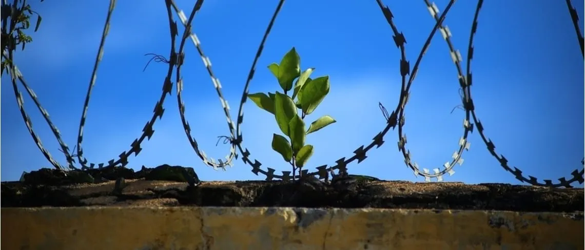 With a Grander Vision in Mind, Wichita Business Employs and Invests in Prisoners