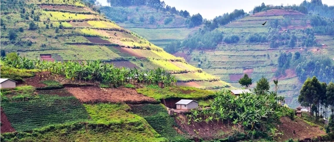 The Impact of the GLS | An Inspiring Letter From Our Friends in Uganda