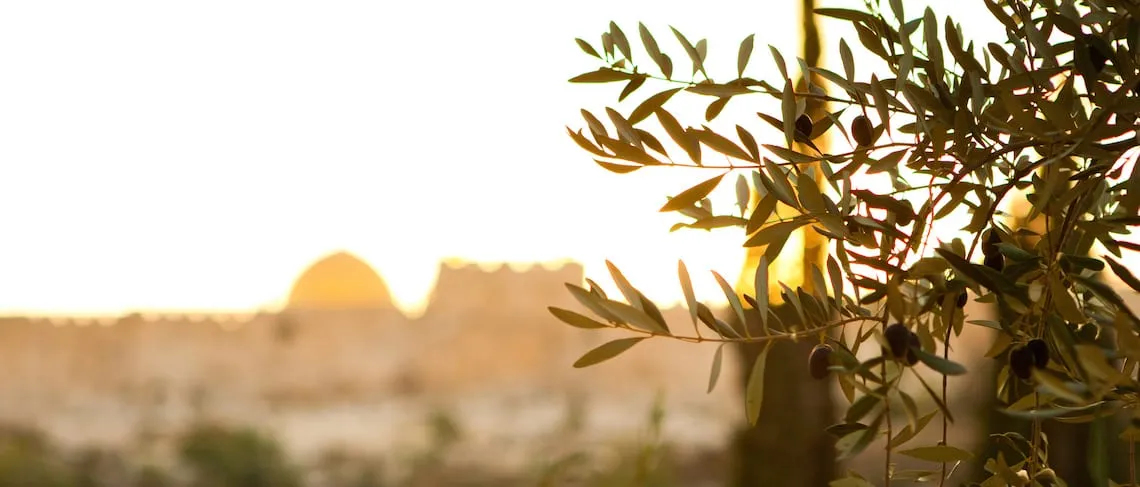 Amidst Great Strife | Fighting Against Poor Leadership