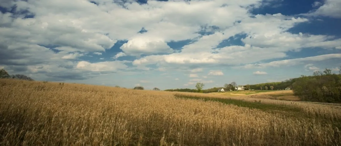 How God is using a Family &amp; a Farm to Bless Foster Children