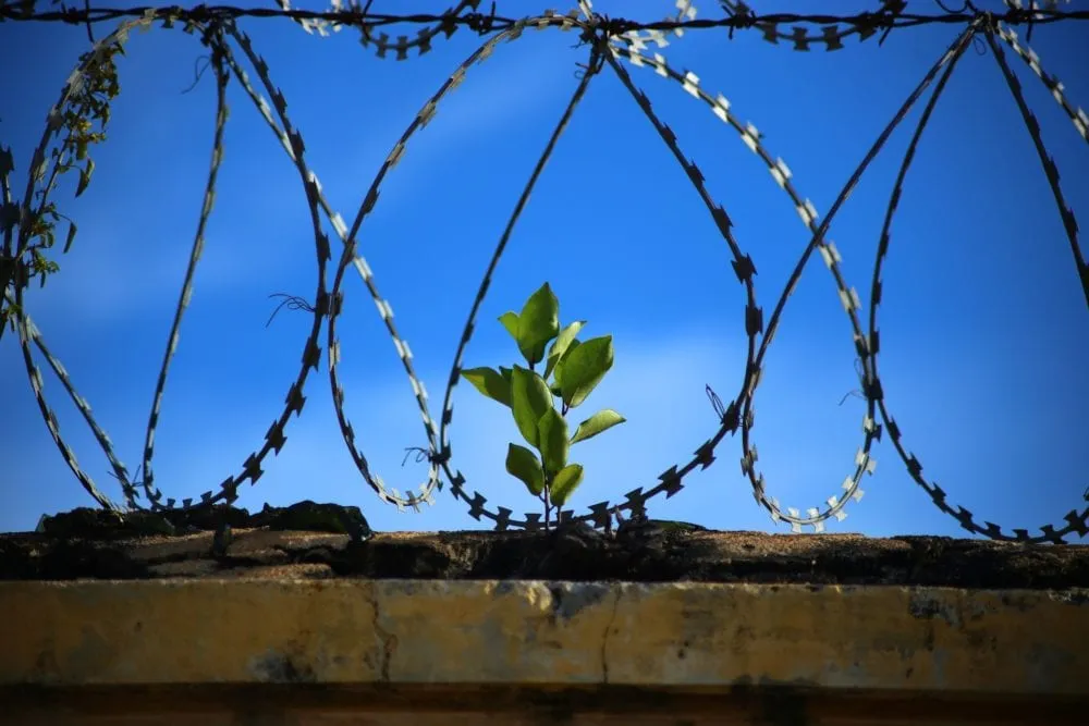 Summit Attendee in Prison is Thankful He's Not Forgotten, Gives Life to Christ