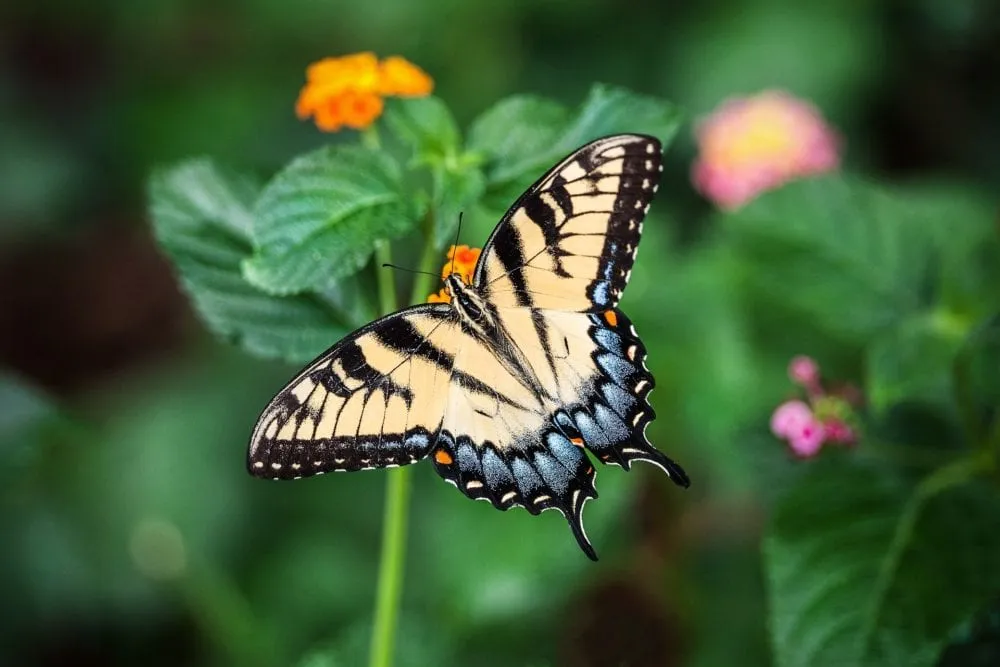 Overcoming Doubt in My Leadership to Bring Healing to Women in Pain