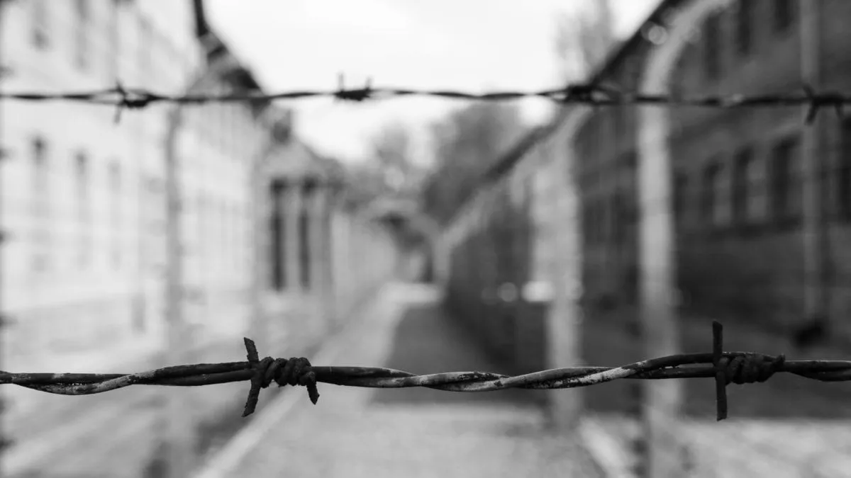 Hope Behind the Barbed Wire