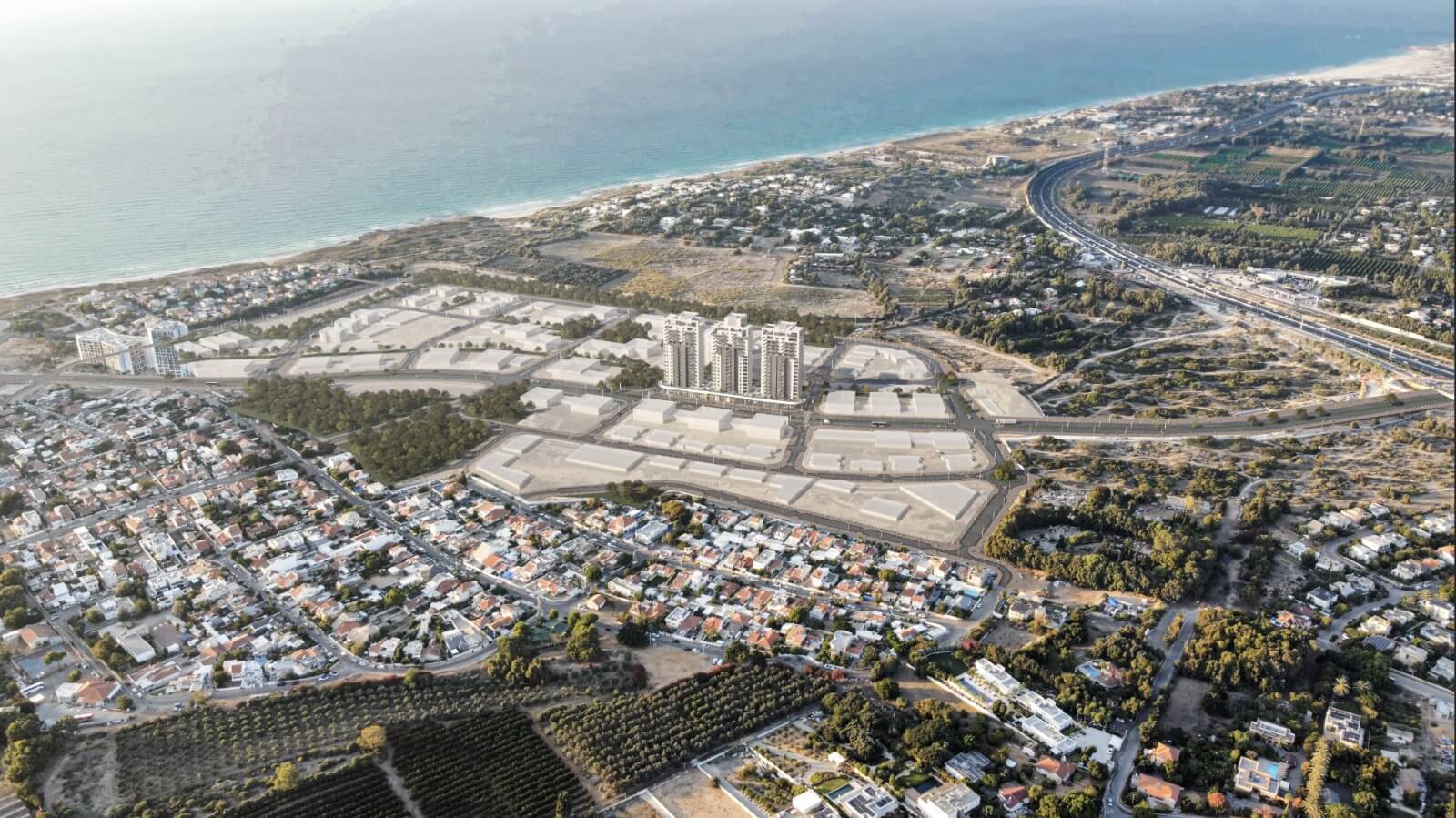 אדרת בחבצלת