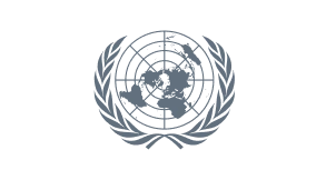 United Nations Logo