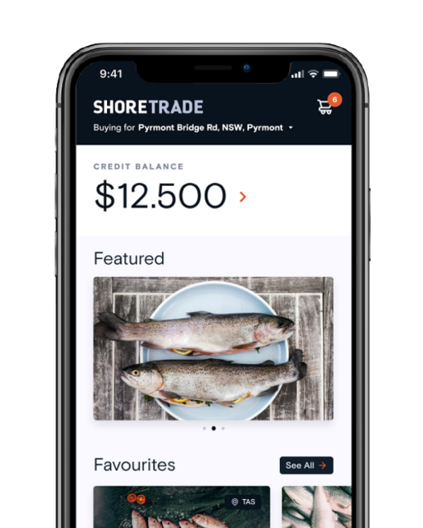 ShoreTrade - The Outcome