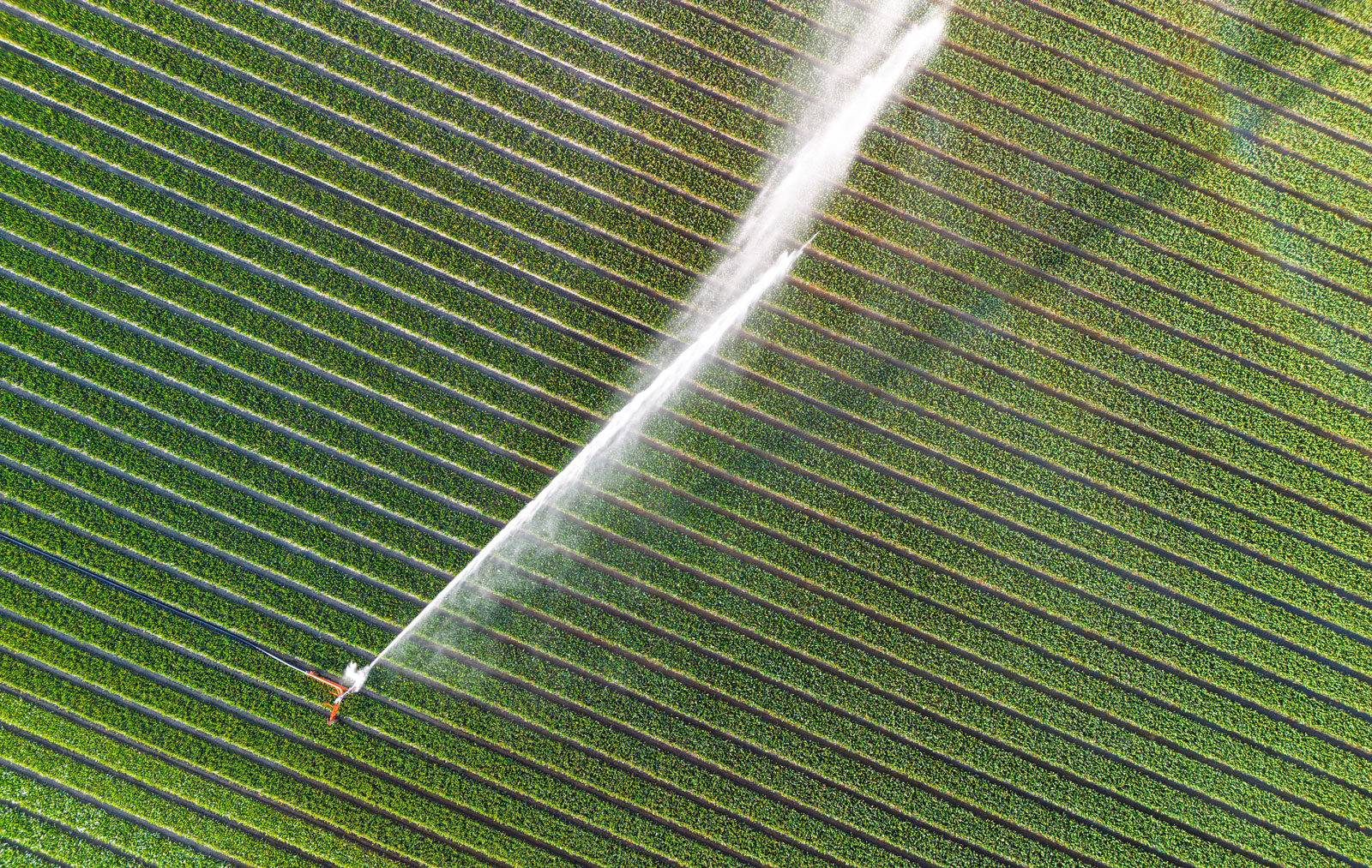 Saltis - farming technology that connects, controls & adapts