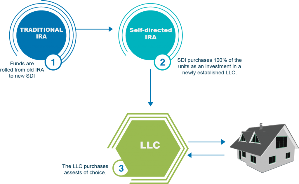 self directed IRA llc