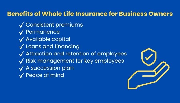 Whole life insurance policy (2)