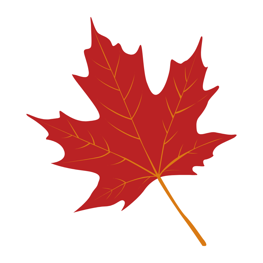 Red maple leaf with orange veins and stem on a transparent background.