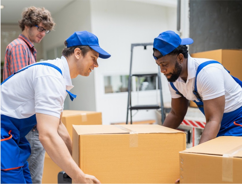 The Role of Customer Support in Home Shifting Services