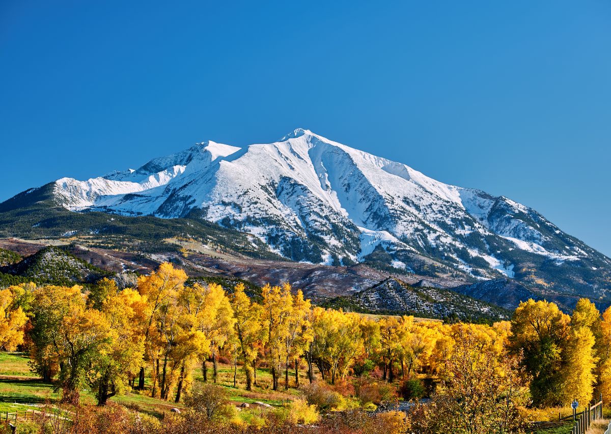 How to Choose the Right Season for Your Move to Colorado
